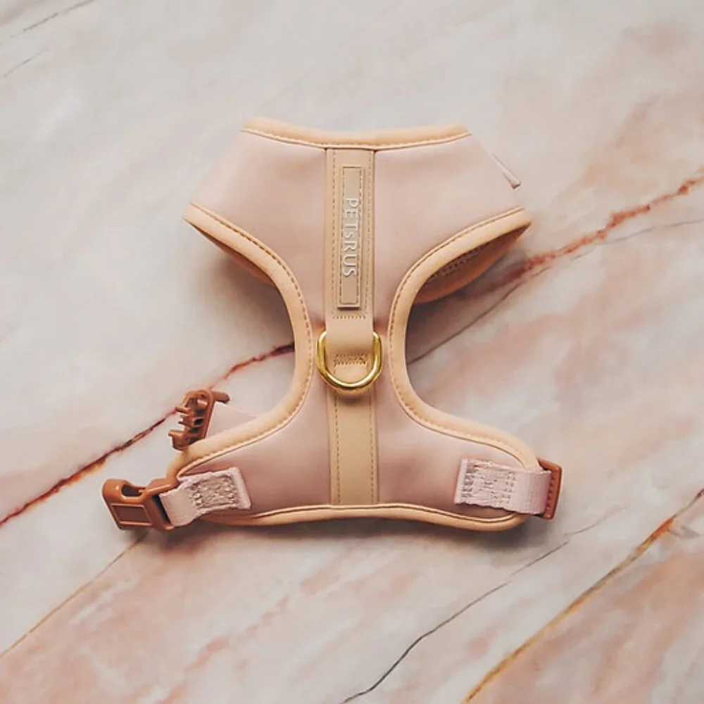 XXS Premium No Pull Dog Harness 2 Leash Clips Beige Leather Neoprene Gold